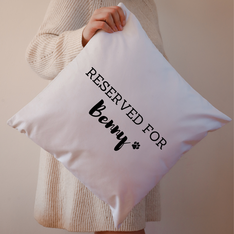 Reserved For Pet Cushion - White